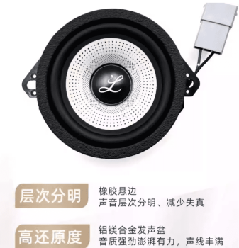 Loa trung tâm BYD Dolphin